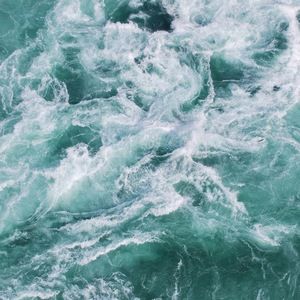 Meet your Posher, Jacqueline